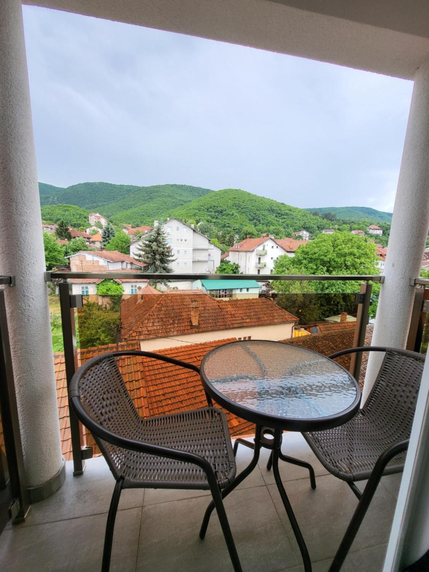 Vila Pcelica Petra Soko Banja Cameră foto