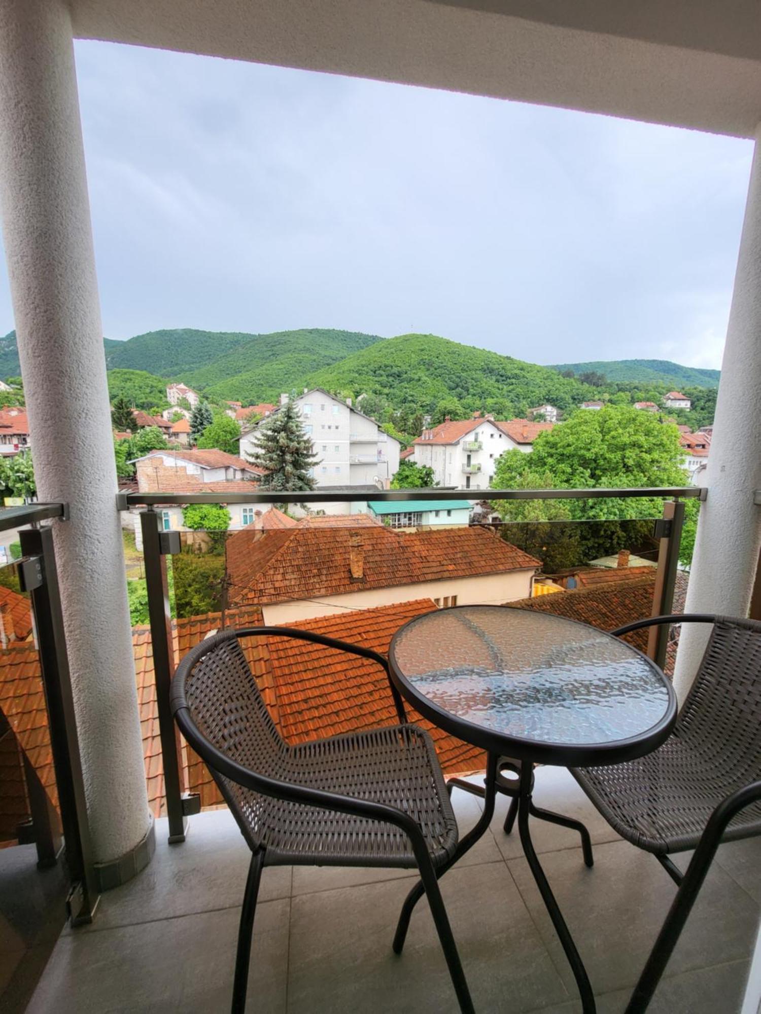 Vila Pcelica Petra Soko Banja Cameră foto